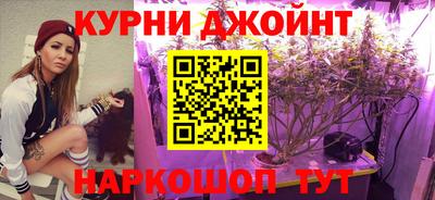 прущие грибы Новодвинск