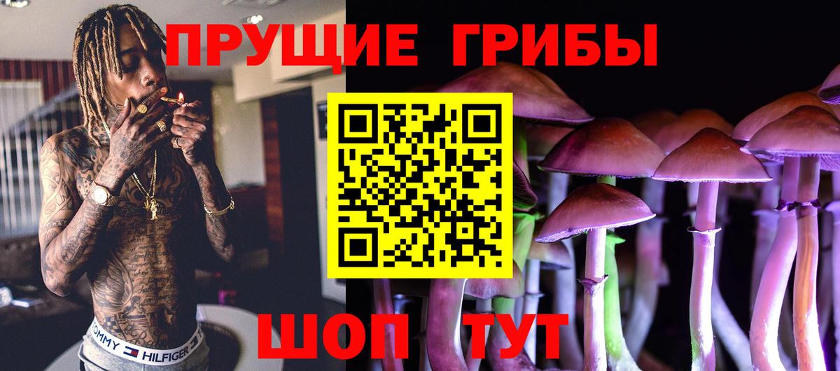 Сочи  Псилоцибиновые грибы GOLDEN TEACHER  где купить наркоту  Галлюциногенные грибы Cubensis  Вход с VPN 
